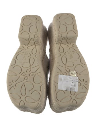 Loewe Raffia Floral Print Espadrilles