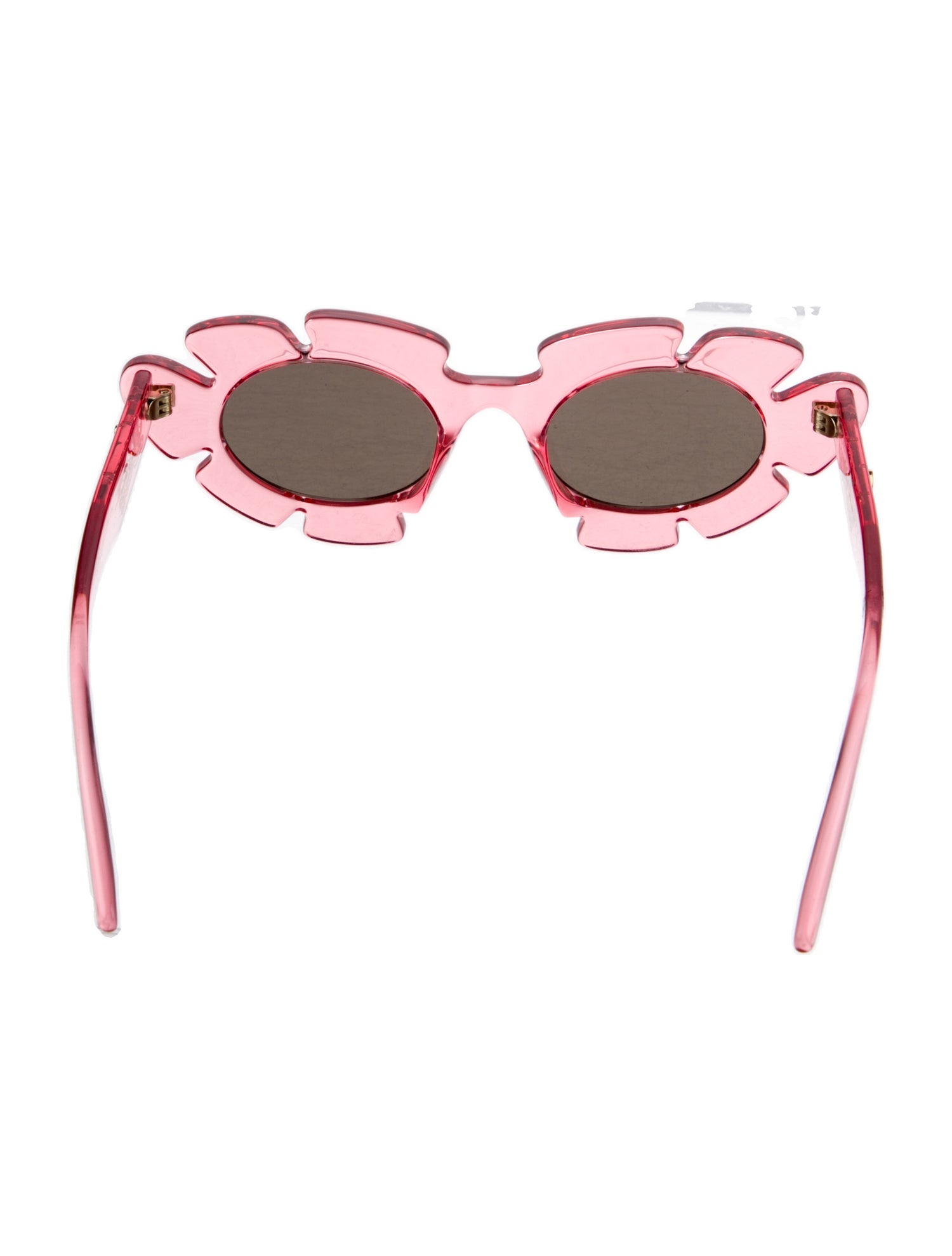 Loewe Paula's Ibiza Cat-Eye Tinted Sunglasses