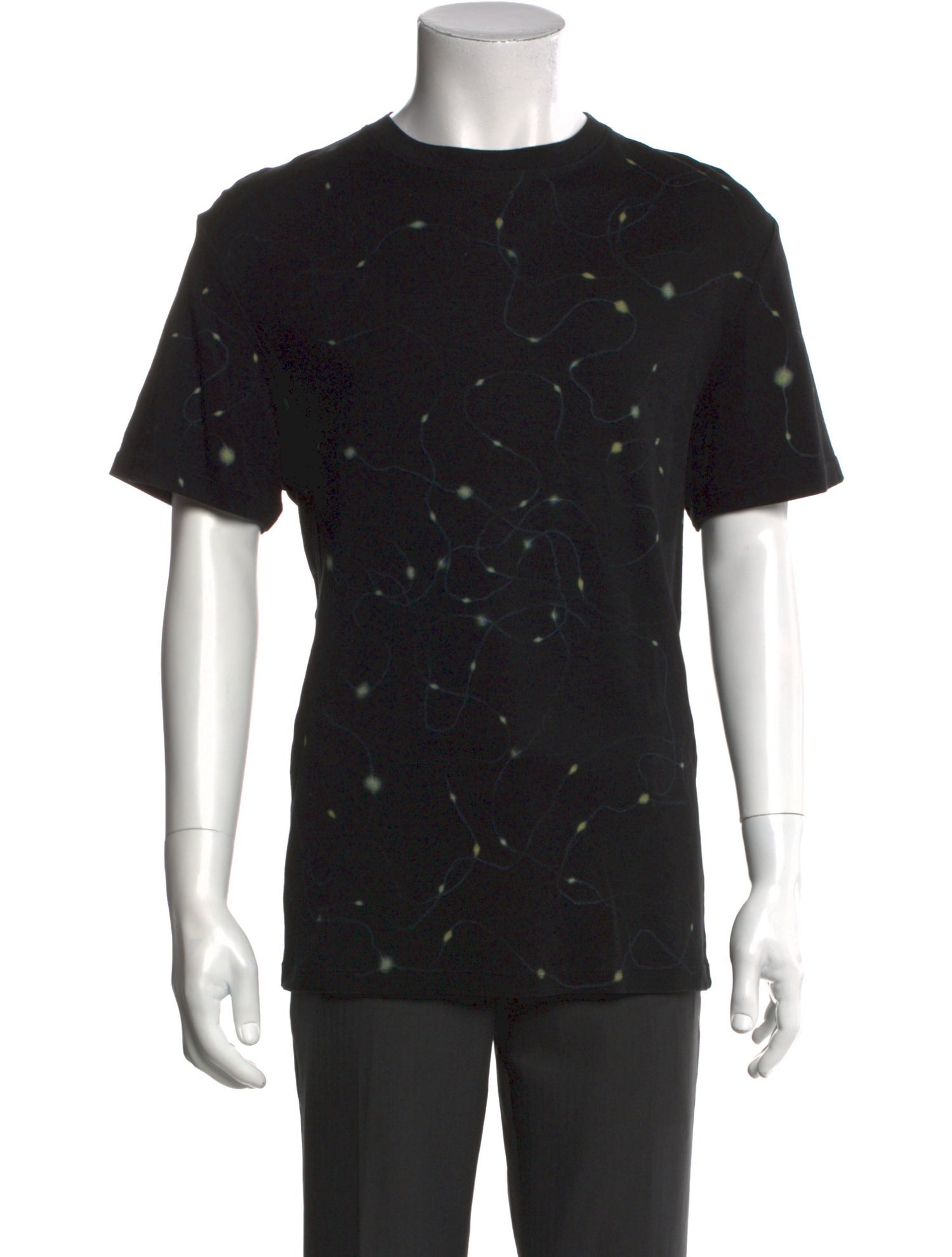 Loewe Printed Crew Neck T-Shirt