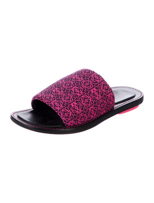 Loewe Printed Embroidered Accent Slides