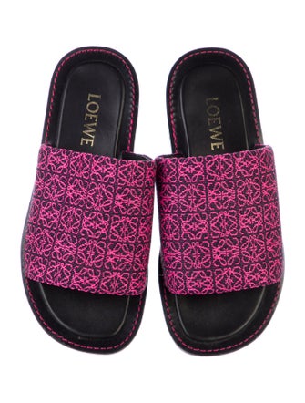 Loewe Printed Embroidered Accent Slides
