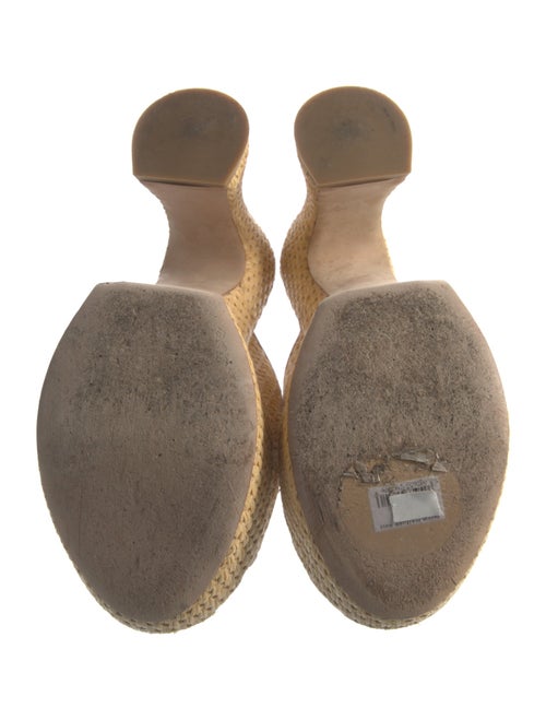 Loewe Raffia Mules