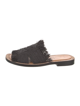Loewe Raffia Embroidered Accent Slides