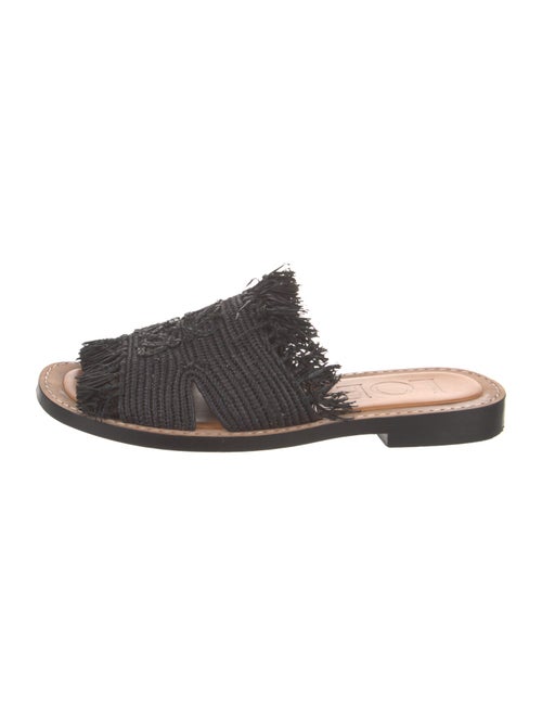 Loewe Raffia Embroidered Accent Slides