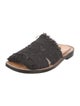 Loewe Raffia Embroidered Accent Slides