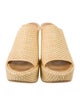 Loewe Raffia Embroidered Accent Espadrilles