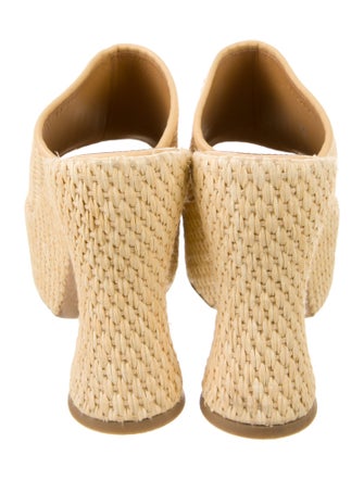 Loewe Raffia Embroidered Accent Espadrilles