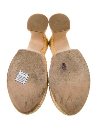 Loewe Raffia Embroidered Accent Espadrilles