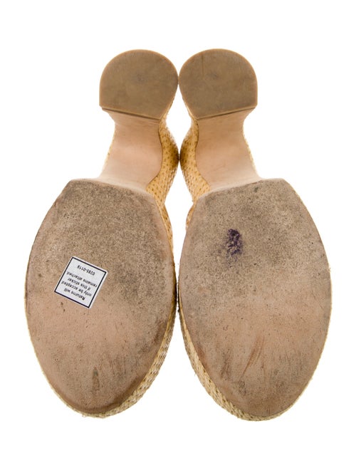 Loewe Raffia Embroidered Accent Espadrilles