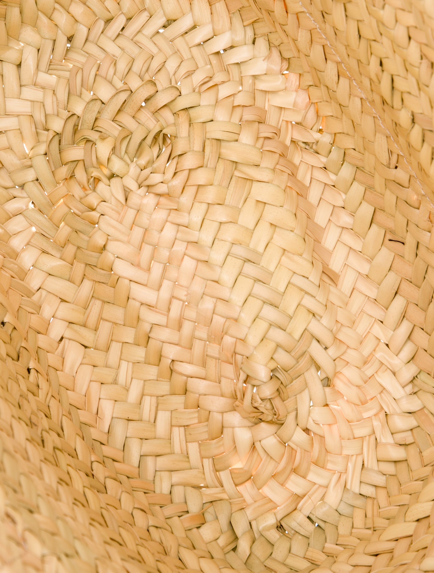 Loewe Raffia Basket