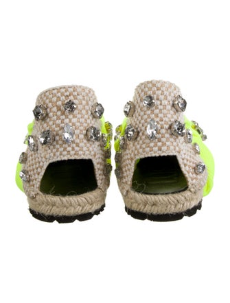 Loewe Canvas Crystal Embellishments Mules