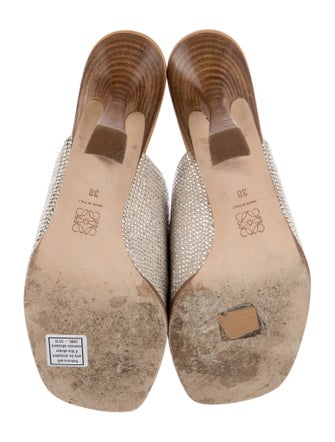 Loewe Leather Crystal Embellishments Slides