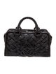 Loewe Leather Amazona