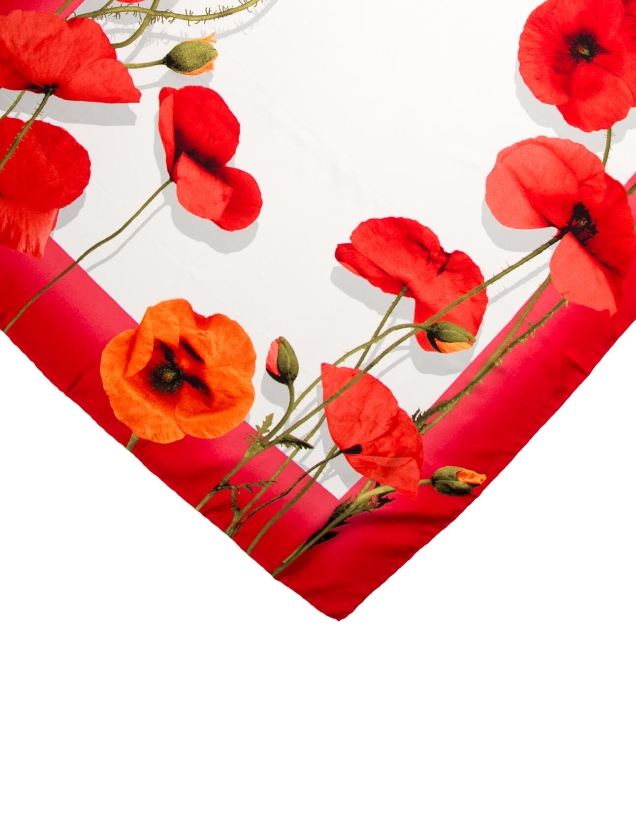 Loewe Cashmere Floral Print Scarf