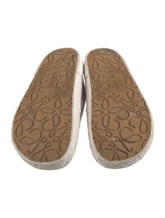 Loewe Canvas Printed Mules