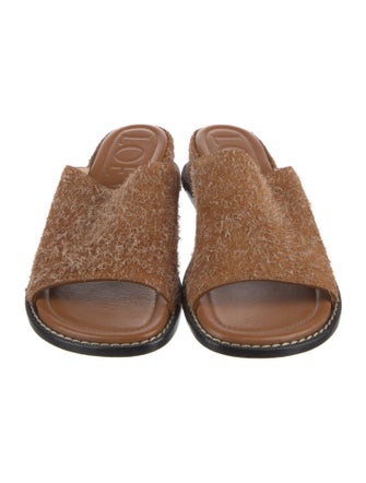 Loewe Suede Slides