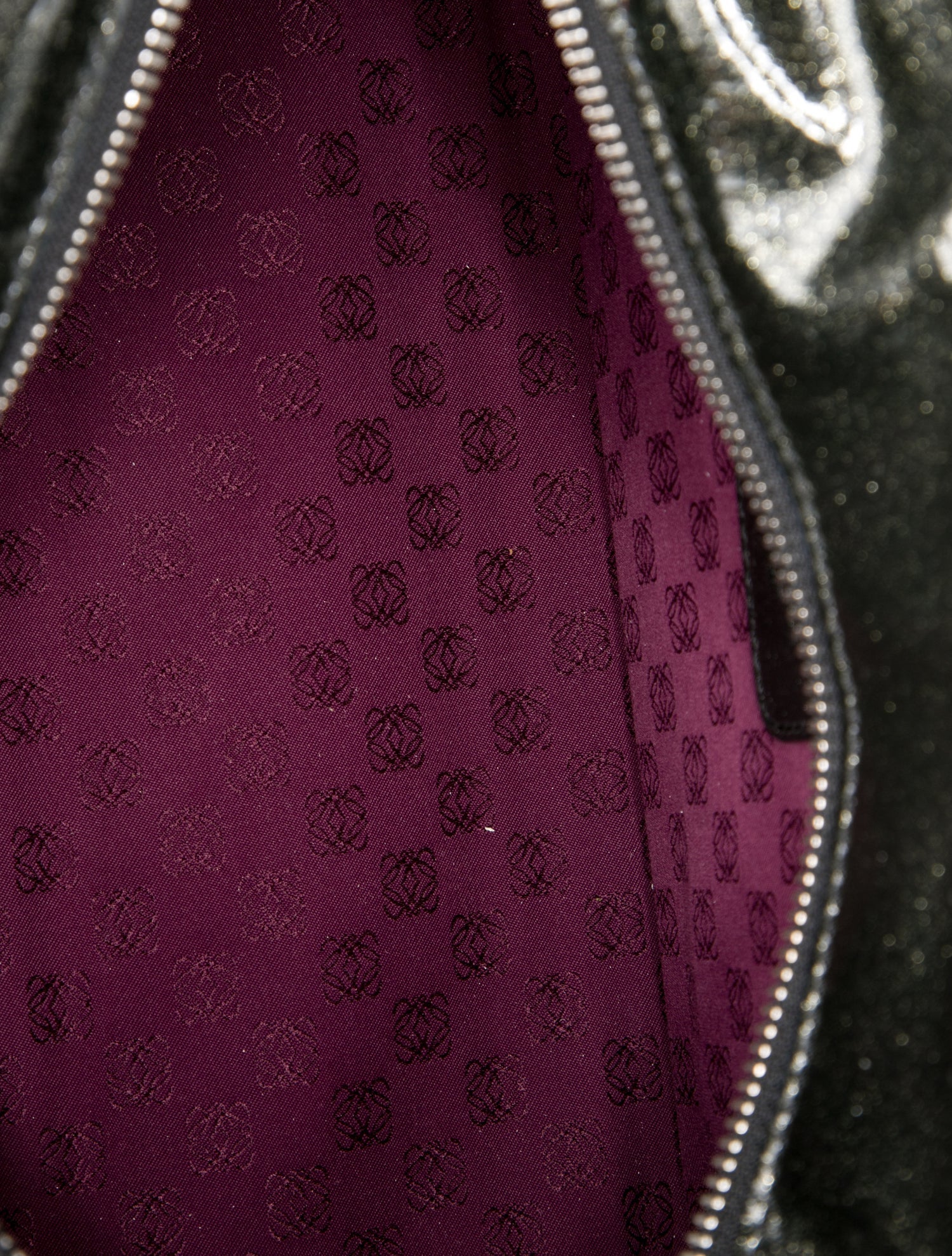 Loewe Patent Leather Amazona