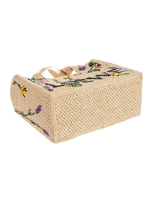 Loewe Raffia Top Handle Bag Small