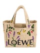 Loewe Paula's Ibiza Raffia Font Small