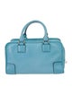 Loewe Leather Amazona