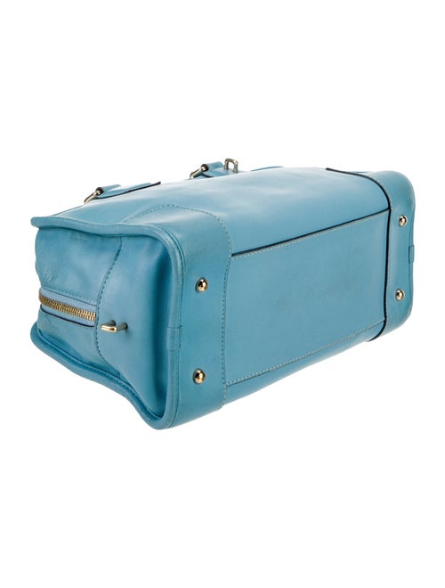 Loewe Leather Amazona