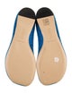 Loewe Suede Ballet Flats