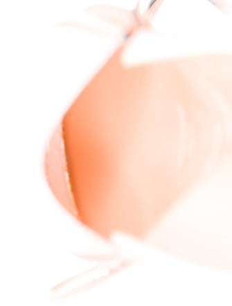 Loewe Small Heel Pouch