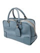Loewe Leather Amazona
