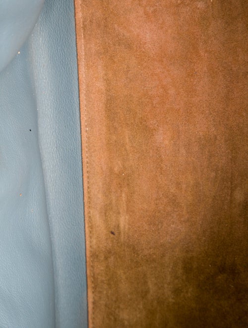 Loewe Leather Amazona