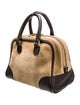 Loewe Suede Amazona 15