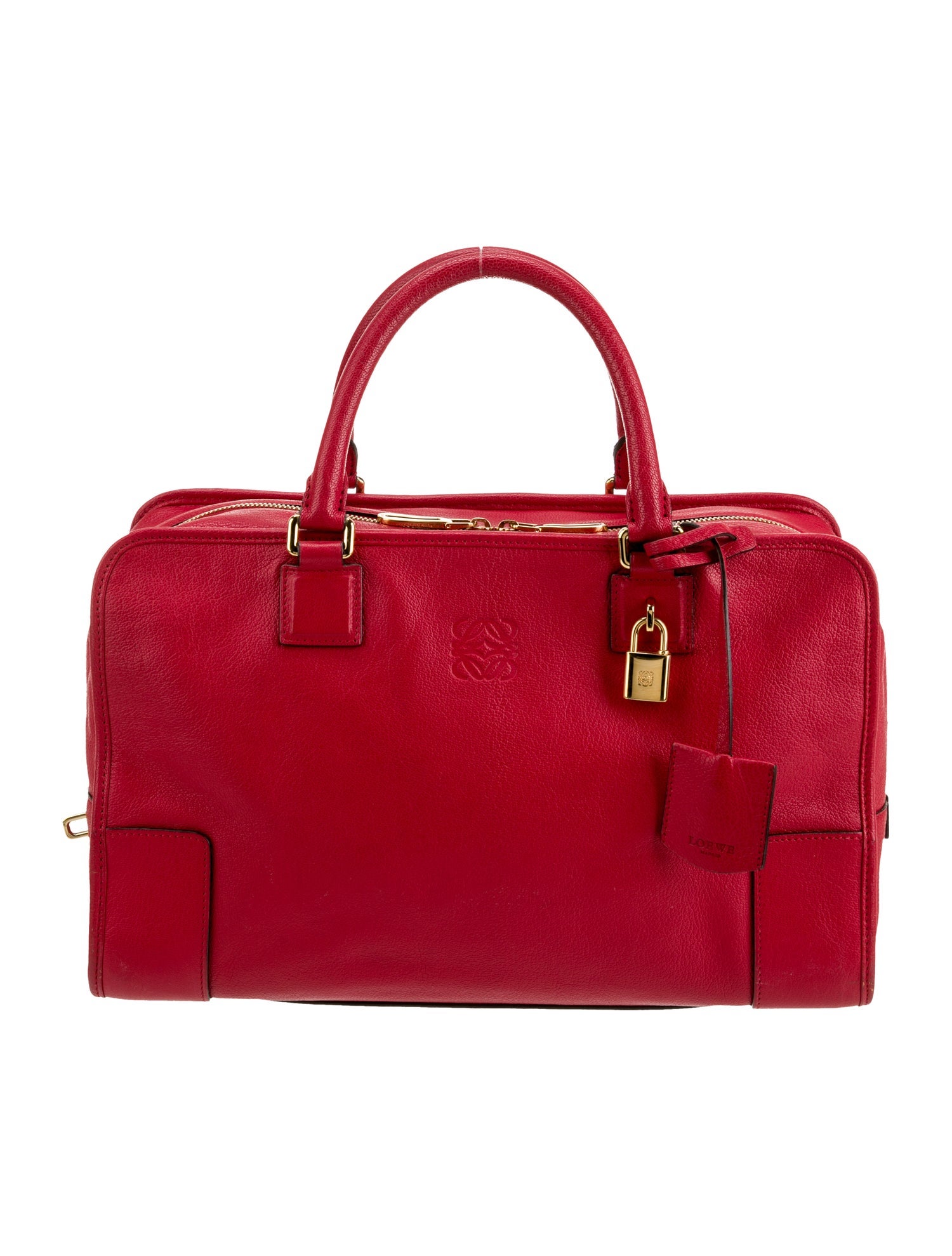 Loewe Leather Amazona