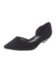 Loewe Suede D'Orsay Pumps