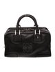 Loewe Leather Amazona