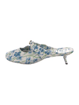Loewe Floral Print Mules