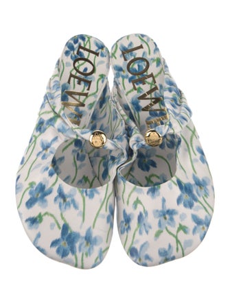 Loewe Floral Print Mules