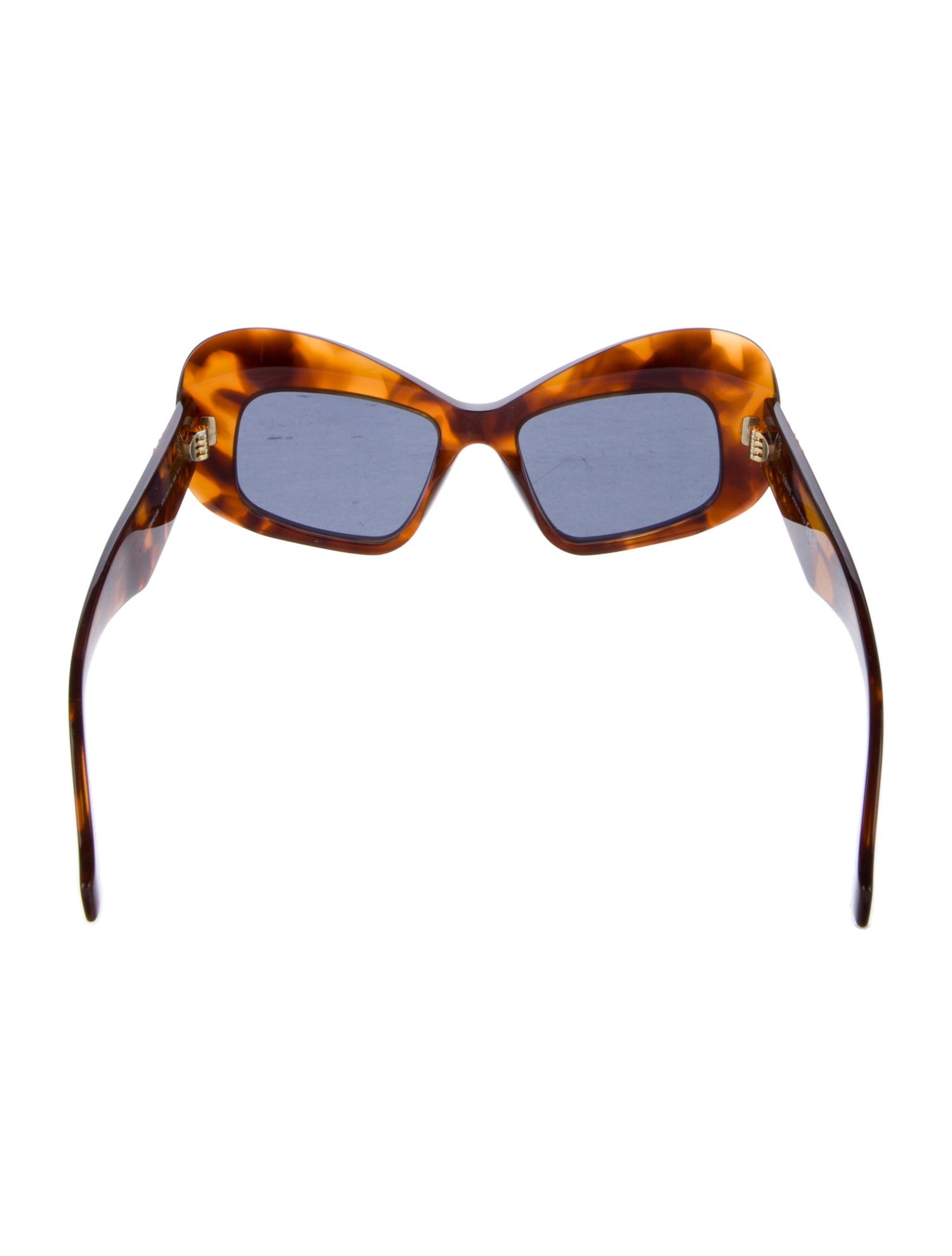 Loewe Oversize Tinted Sunglasses