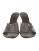 Loewe Leather Crystal Embellishments Slides