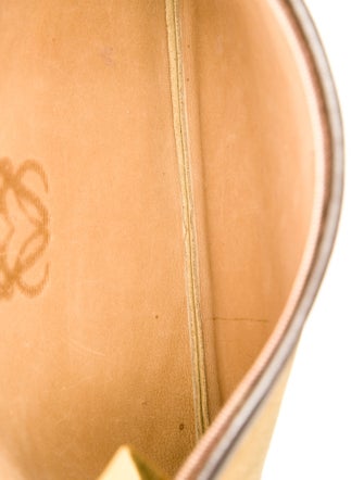 Loewe Suede Portfolio