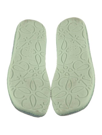 Loewe Suede Espadrilles