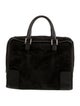Loewe Suede Top Handle Bag