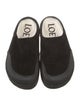 Loewe Suede Mules