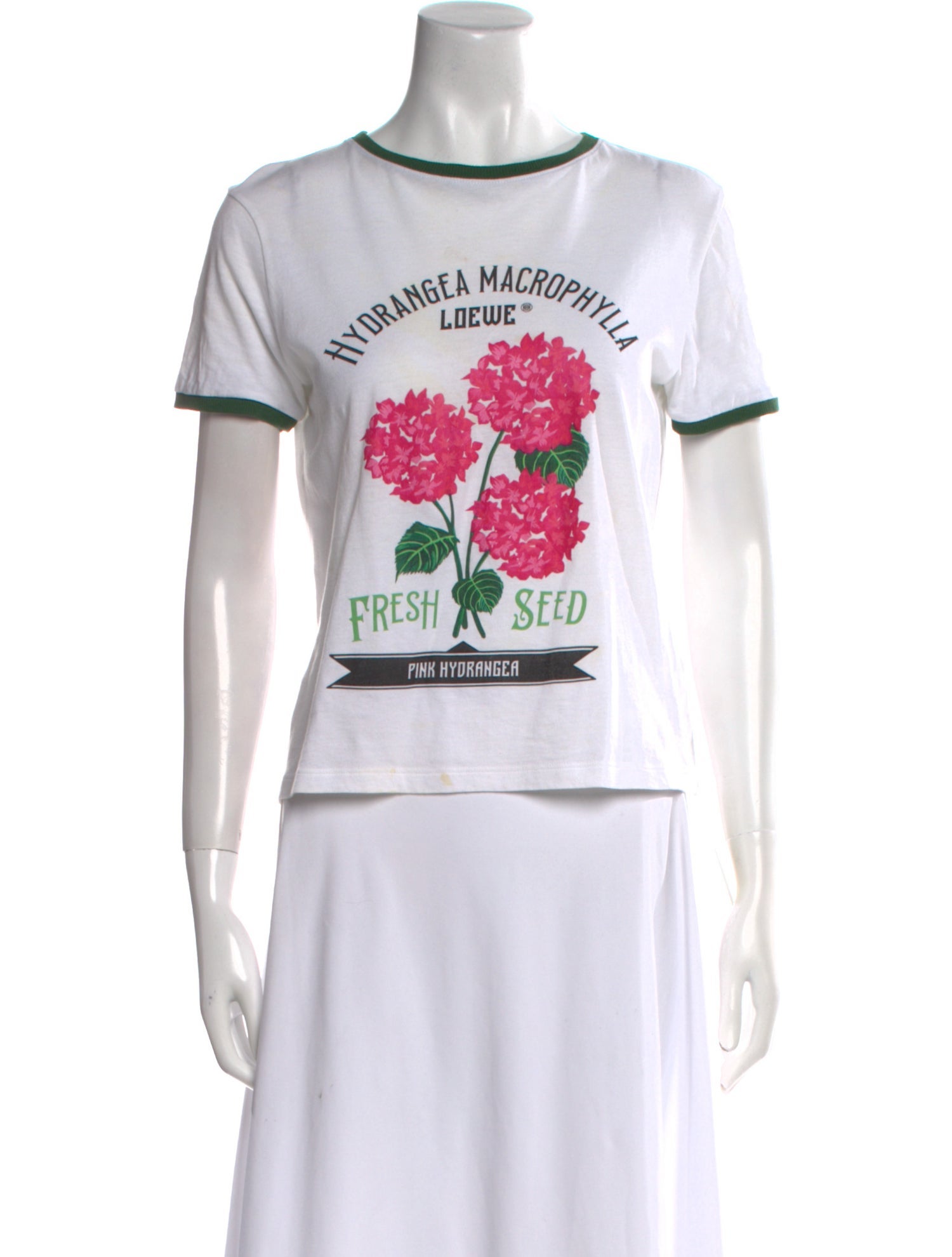 Loewe Graphic Print Crew Neck T-Shirt