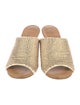 Loewe Leather Crystal Embellishments Slides