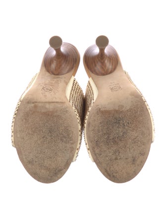 Loewe Leather Crystal Embellishments Slides