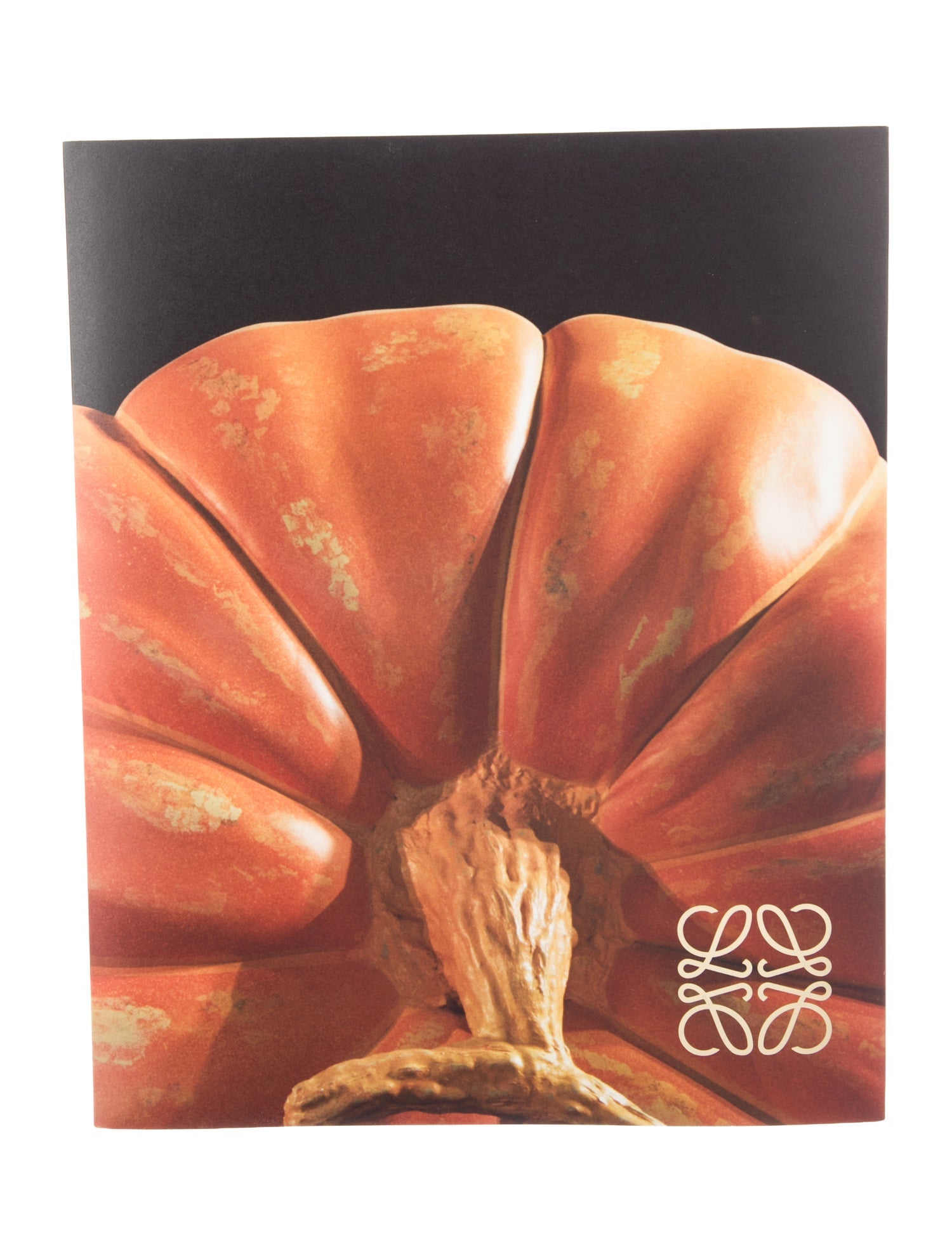 Loewe Crafted World: Jonathan Anderson’s Loewe