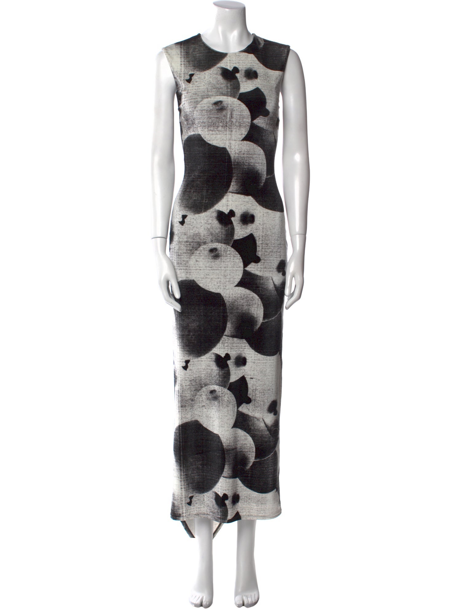 Loewe Printed Long Dress