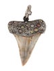 Loree Rodkin Shark Tooth & Diamond Pendant