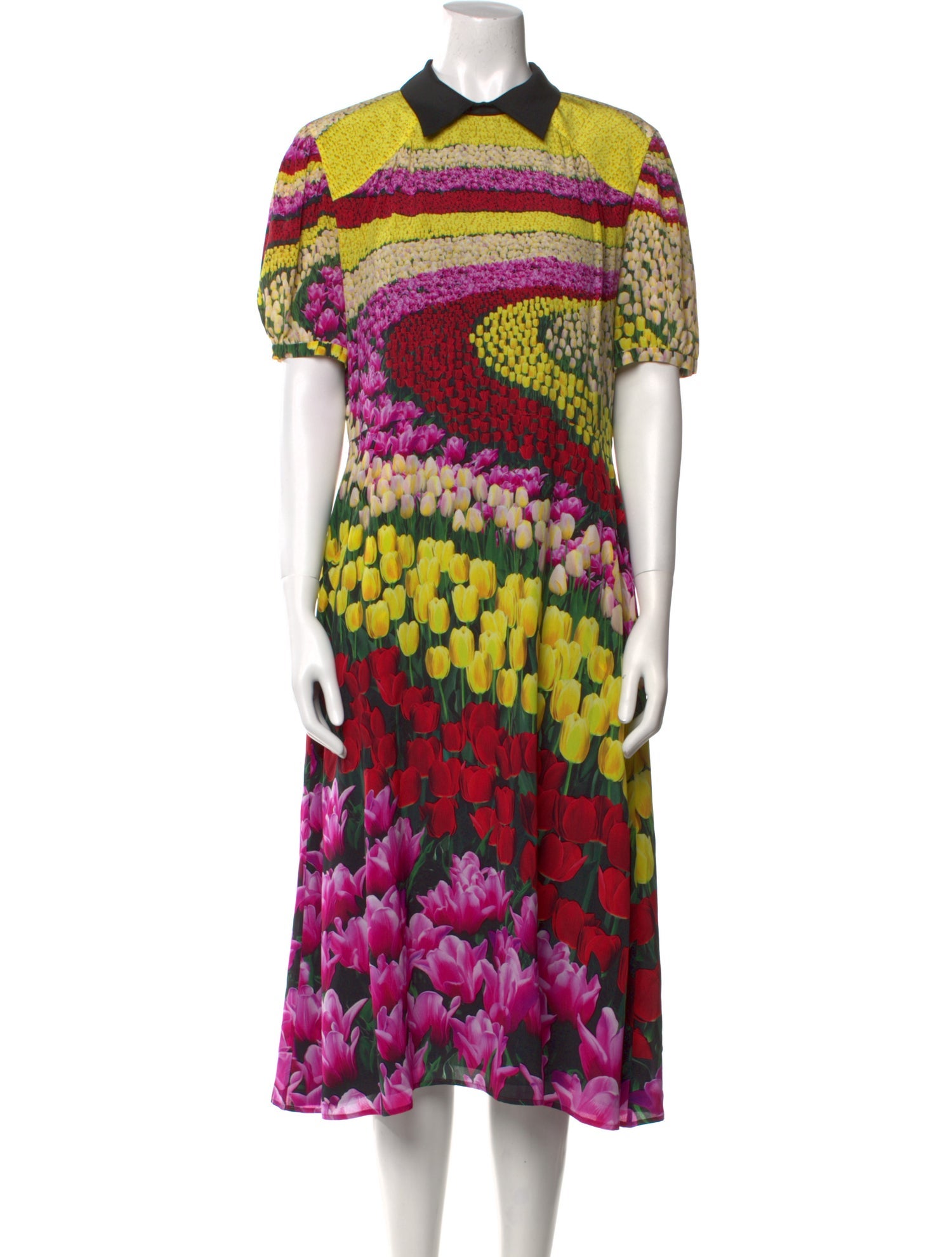 Mary Katrantzou Silk Midi Length Dress