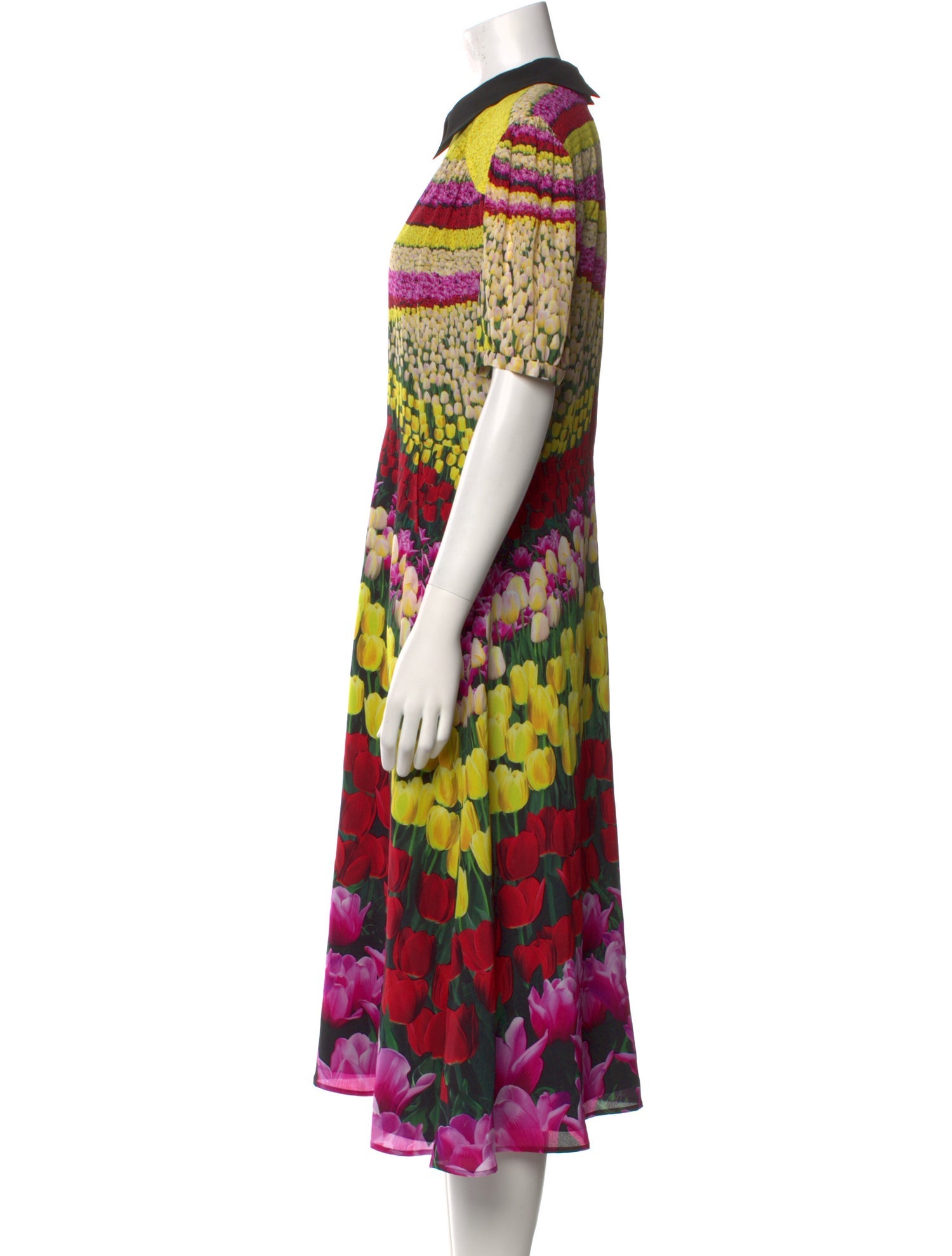 Mary Katrantzou Silk Midi Length Dress