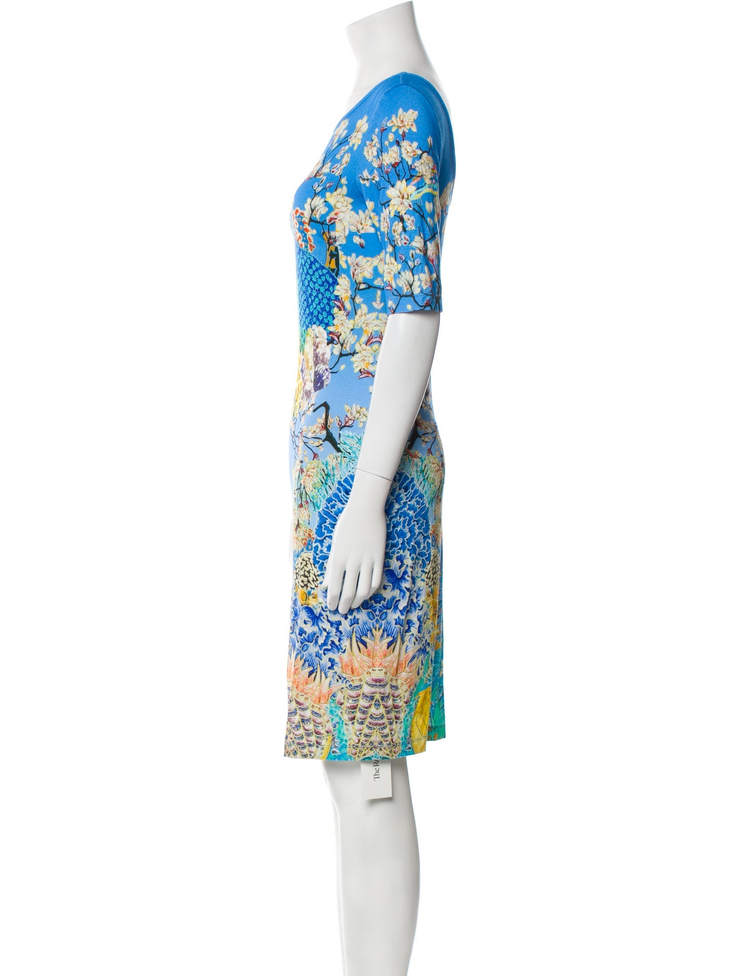 Mary Katrantzou Floral Print Mini Dress